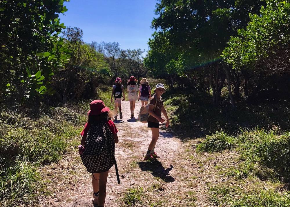 77794931322__974C6B71-F394-4349-AEDA-FB46D6571720 (1)